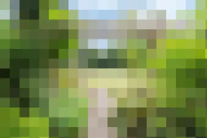 Haspelstraat 2 Hoeven thumbnail 32