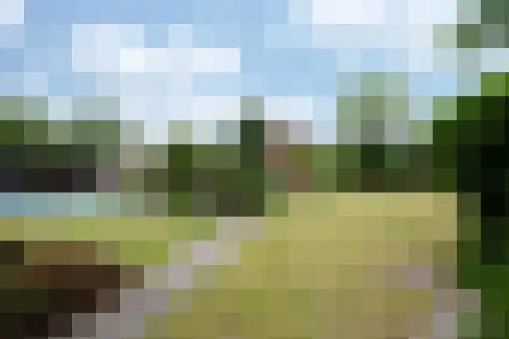 Haspelstraat 2 Hoeven thumbnail 33