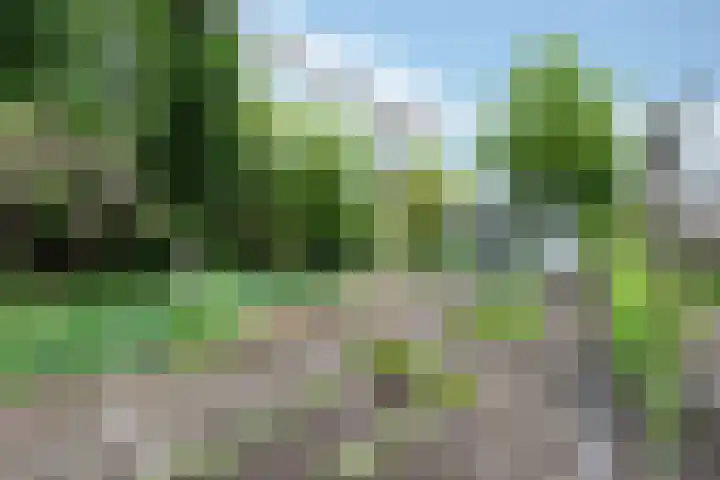 Haspelstraat 2 Hoeven thumbnail 35