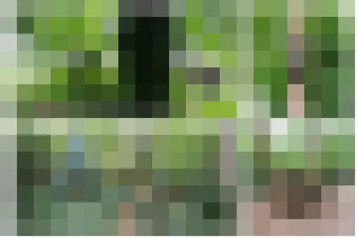 Haspelstraat 2 Hoeven thumbnail 36