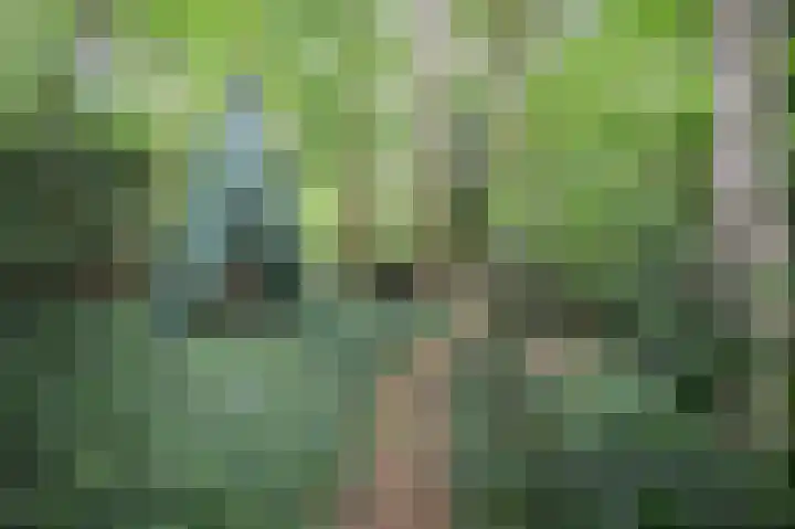 Haspelstraat 2 Hoeven thumbnail 37