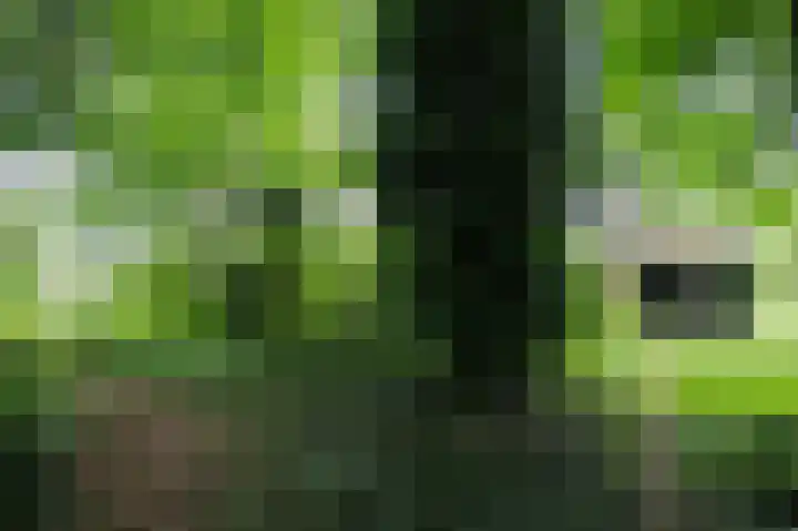 Haspelstraat 2 Hoeven thumbnail 38