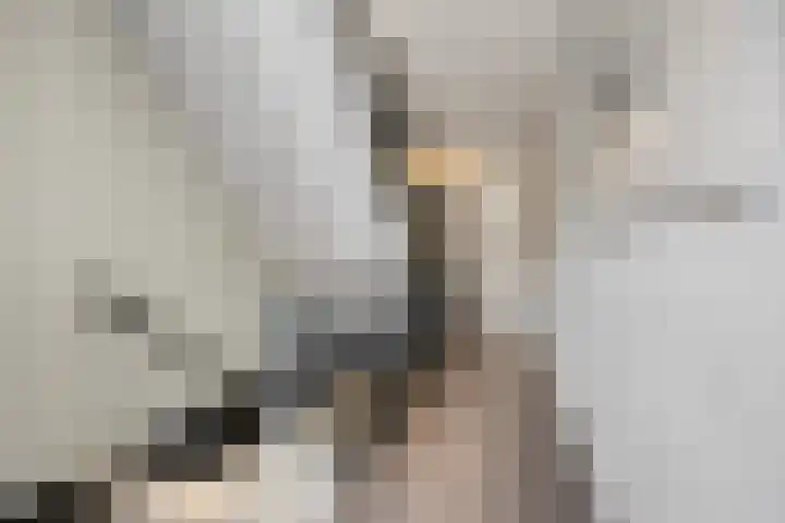 Haspelstraat 2 Hoeven thumbnail 4