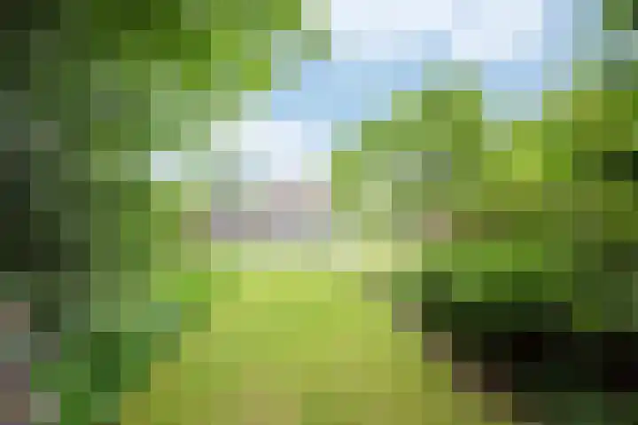 Haspelstraat 2 Hoeven thumbnail 43