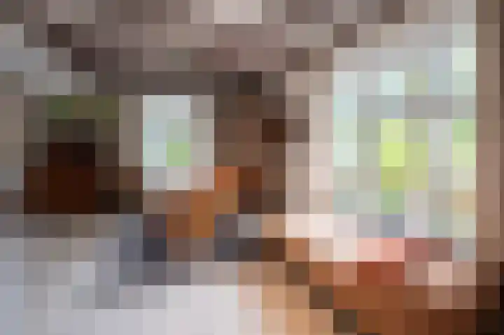 Haspelstraat 2 Hoeven thumbnail 8
