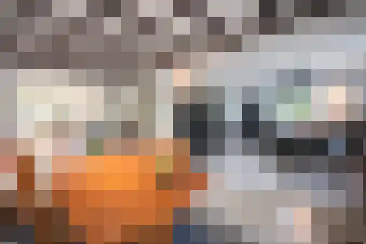 Haspelstraat 2 Hoeven thumbnail 9