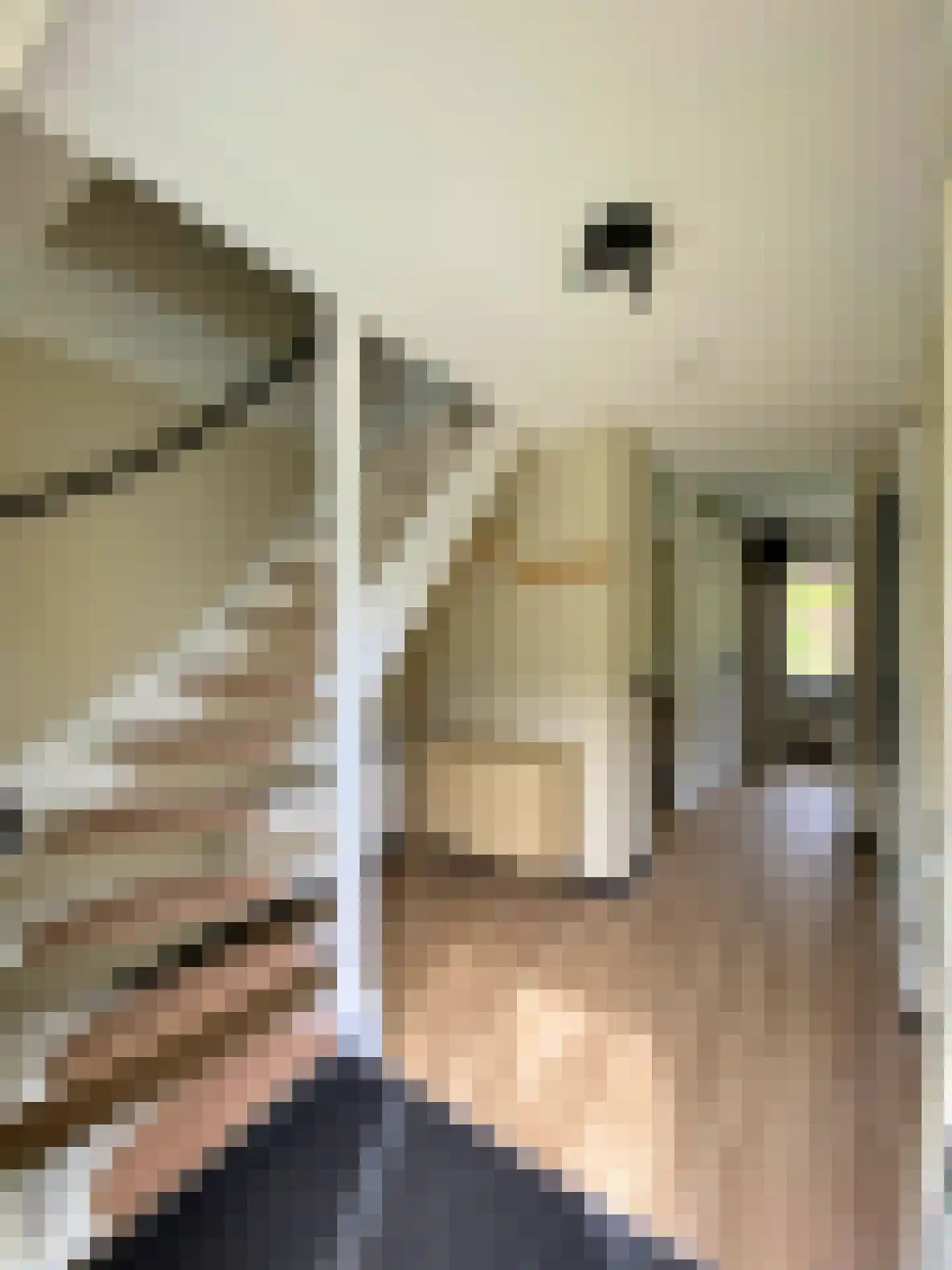Haspelstraat 30 116 Hoeven thumbnail 8