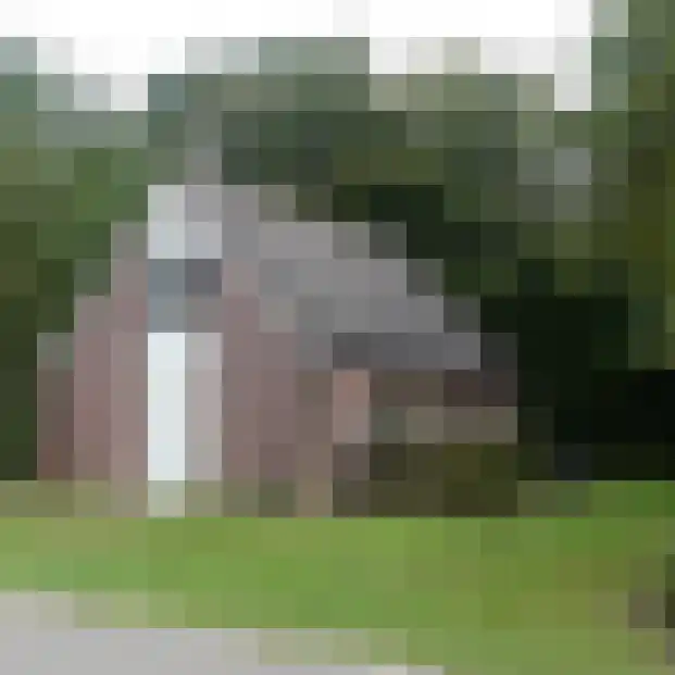 Haspelstraat 30 58 Hoeven thumbnail 26