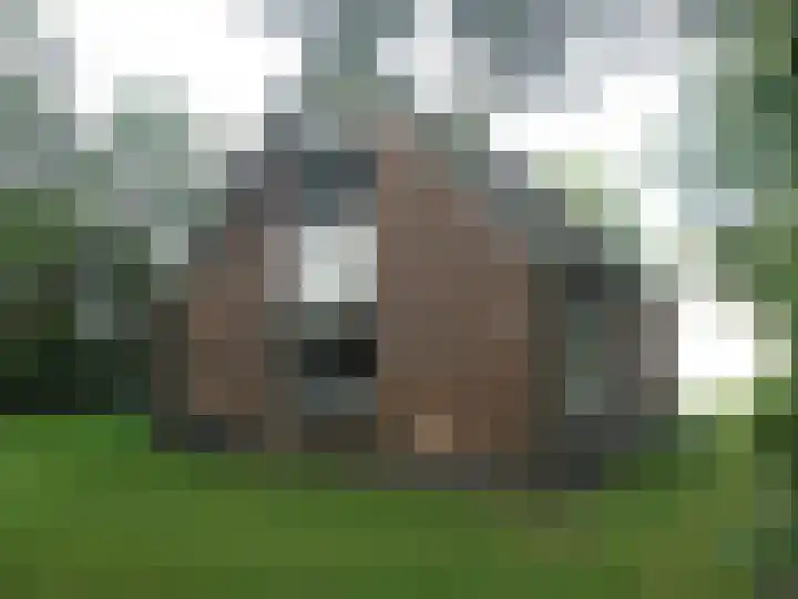 Haspelstraat 30 58 Hoeven thumbnail 32