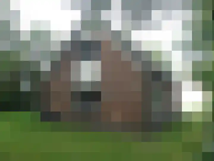 Haspelstraat 30 58 Hoeven thumbnail 33