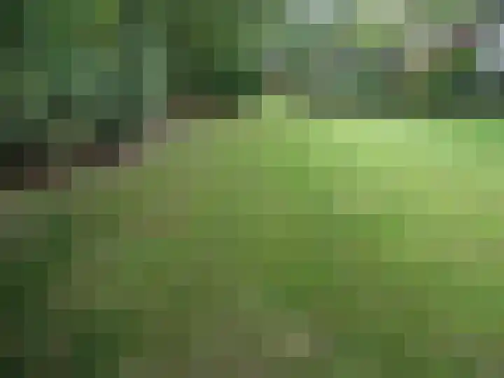 Haspelstraat 30 58 Hoeven thumbnail 35