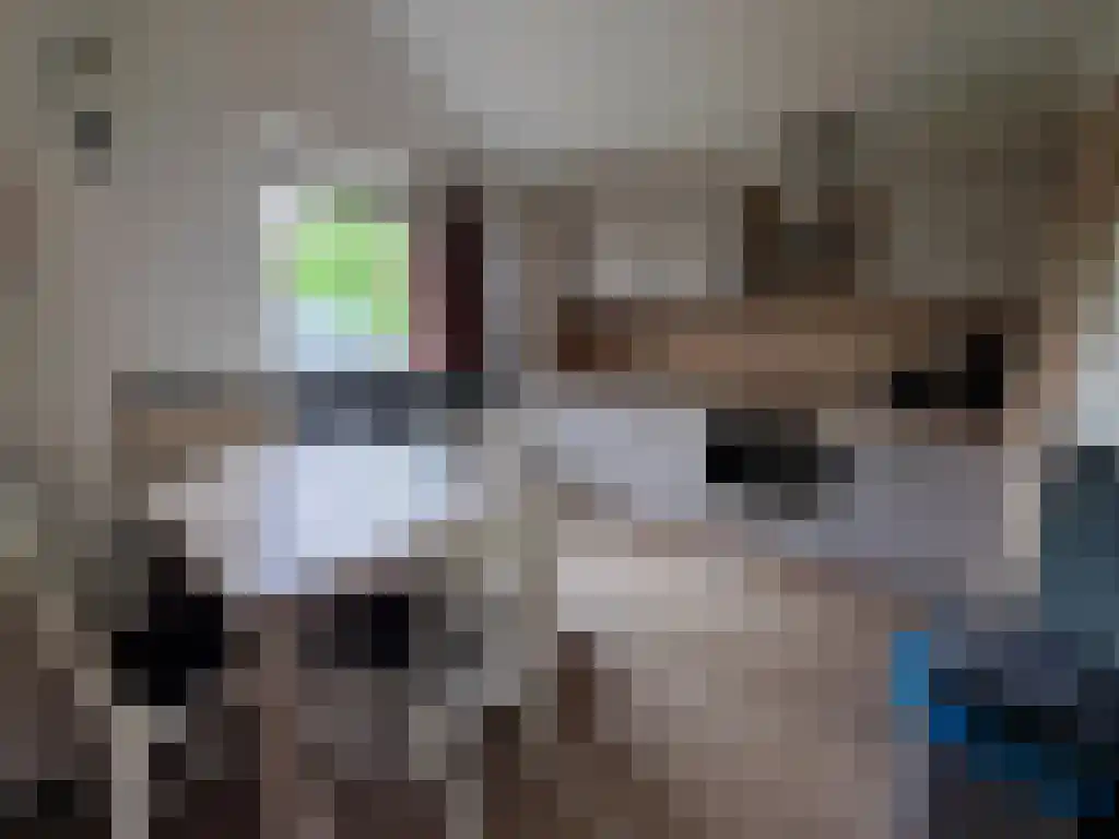 Haspelstraat 30 Hoeven thumbnail 5