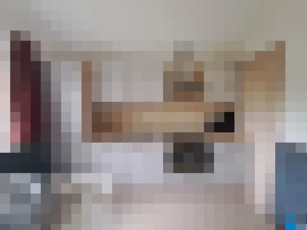 Haspelstraat 30 Hoeven thumbnail 6