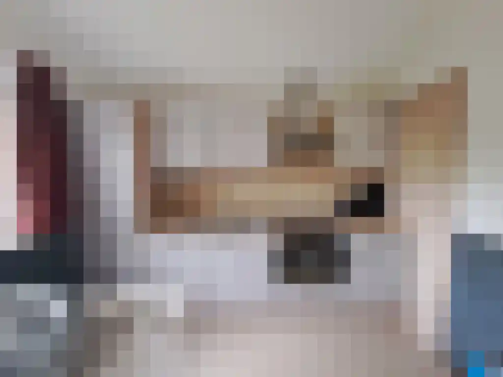 Haspelstraat 30 Hoeven thumbnail 6