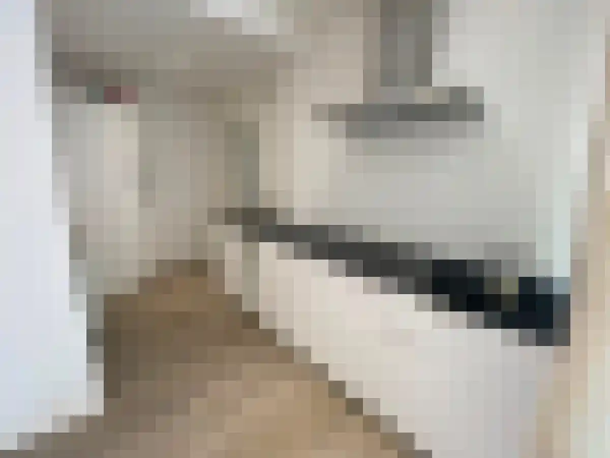 Haspengouw 14 A Maastricht thumbnail 6