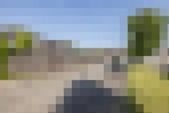Haspengouw 14 Geleen thumbnail 23