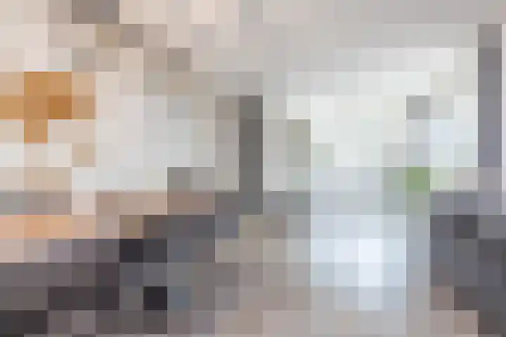 Haspengouw 14 Geleen thumbnail 6