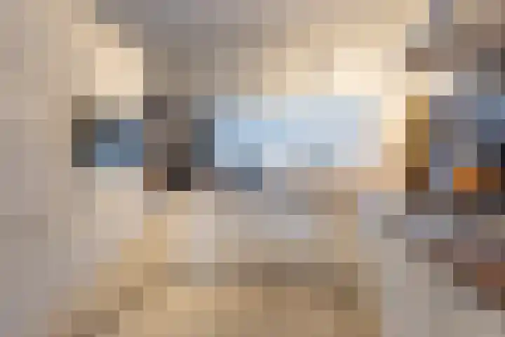 Haspengouw 31 Geleen thumbnail 12