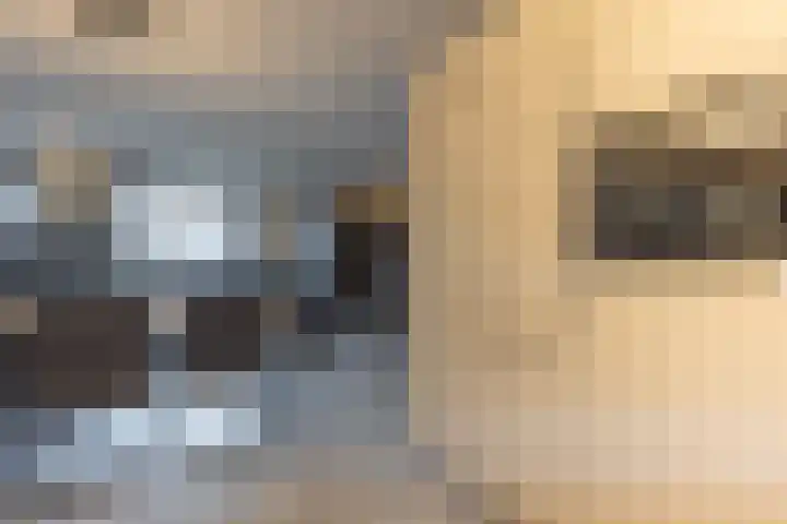 Haspengouw 31 Geleen thumbnail 13