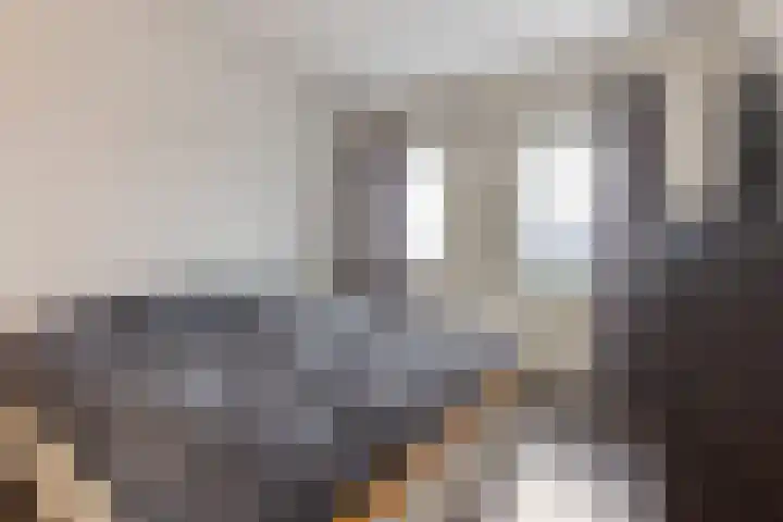 Haspengouw 31 Geleen thumbnail 21
