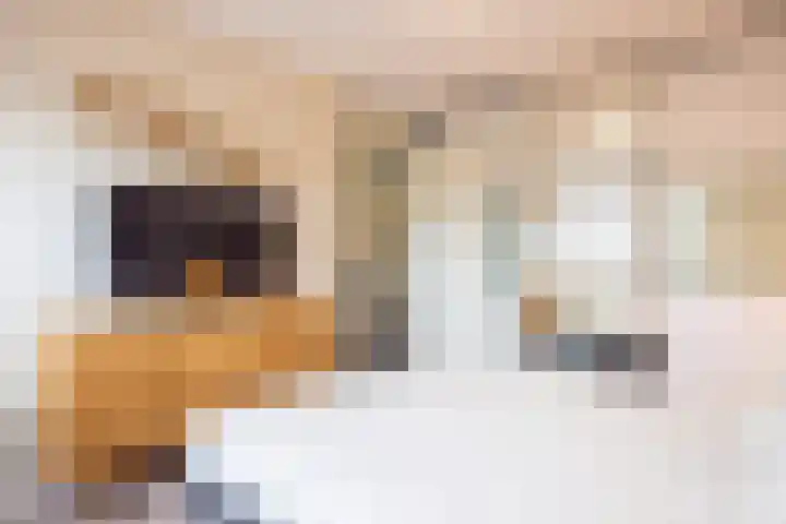 Haspengouw 41 Geleen thumbnail 13
