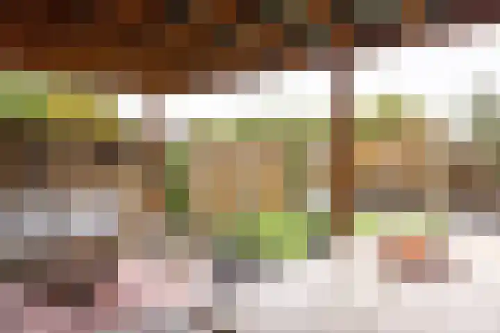 Haspengouw 41 Geleen thumbnail 22
