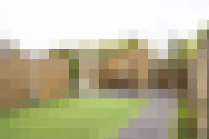 Haspengouw 41 Geleen thumbnail 24