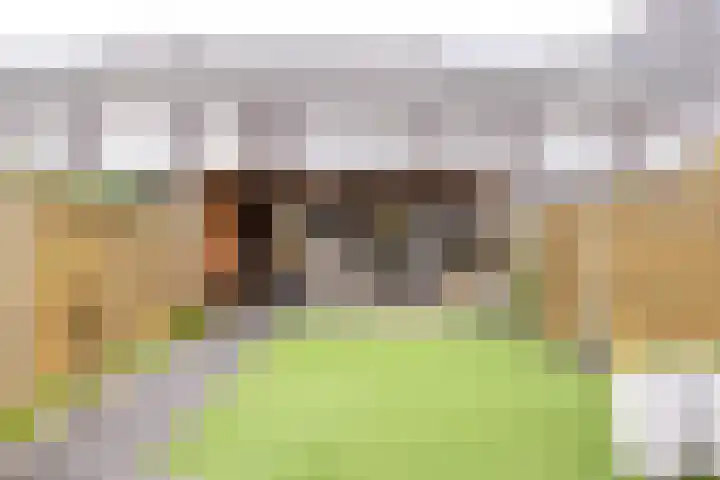 Haspengouw 41 Geleen thumbnail 25