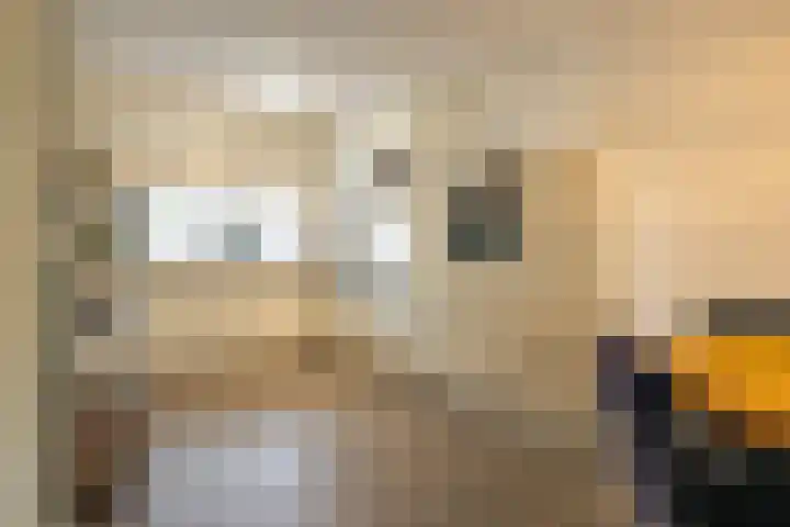 Haspengouw 41 Geleen thumbnail 9