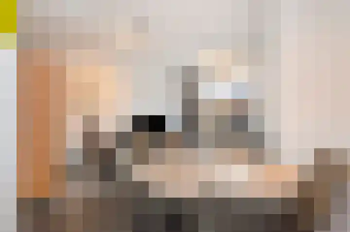 Haspengouw 42 Geleen thumbnail 11