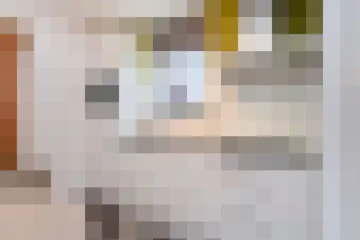 Haspengouw 42 Geleen thumbnail 12