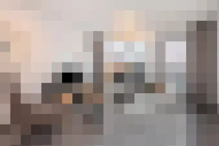 Haspengouw 42 Geleen thumbnail 7