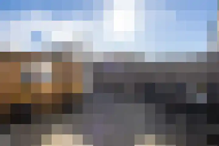Haspengouw 64 Geleen thumbnail 22