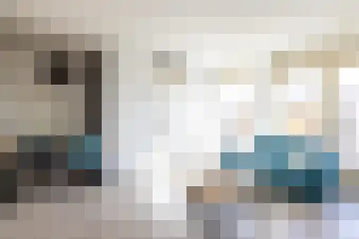 Haspengouw 64 Geleen thumbnail 5