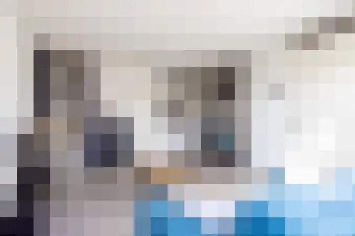 Haspengouw 64 Geleen thumbnail 6
