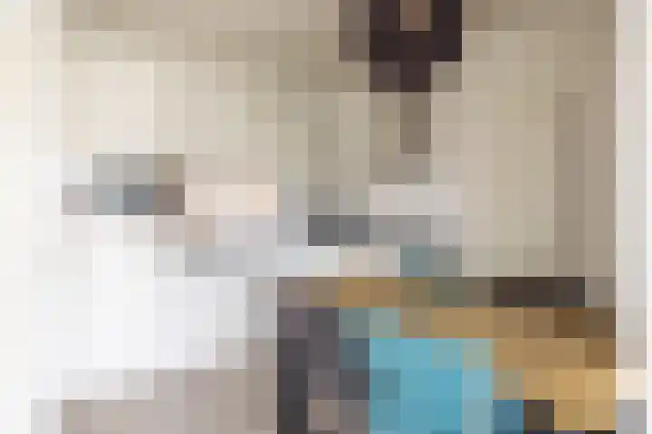 Haspengouw 64 Geleen thumbnail 8