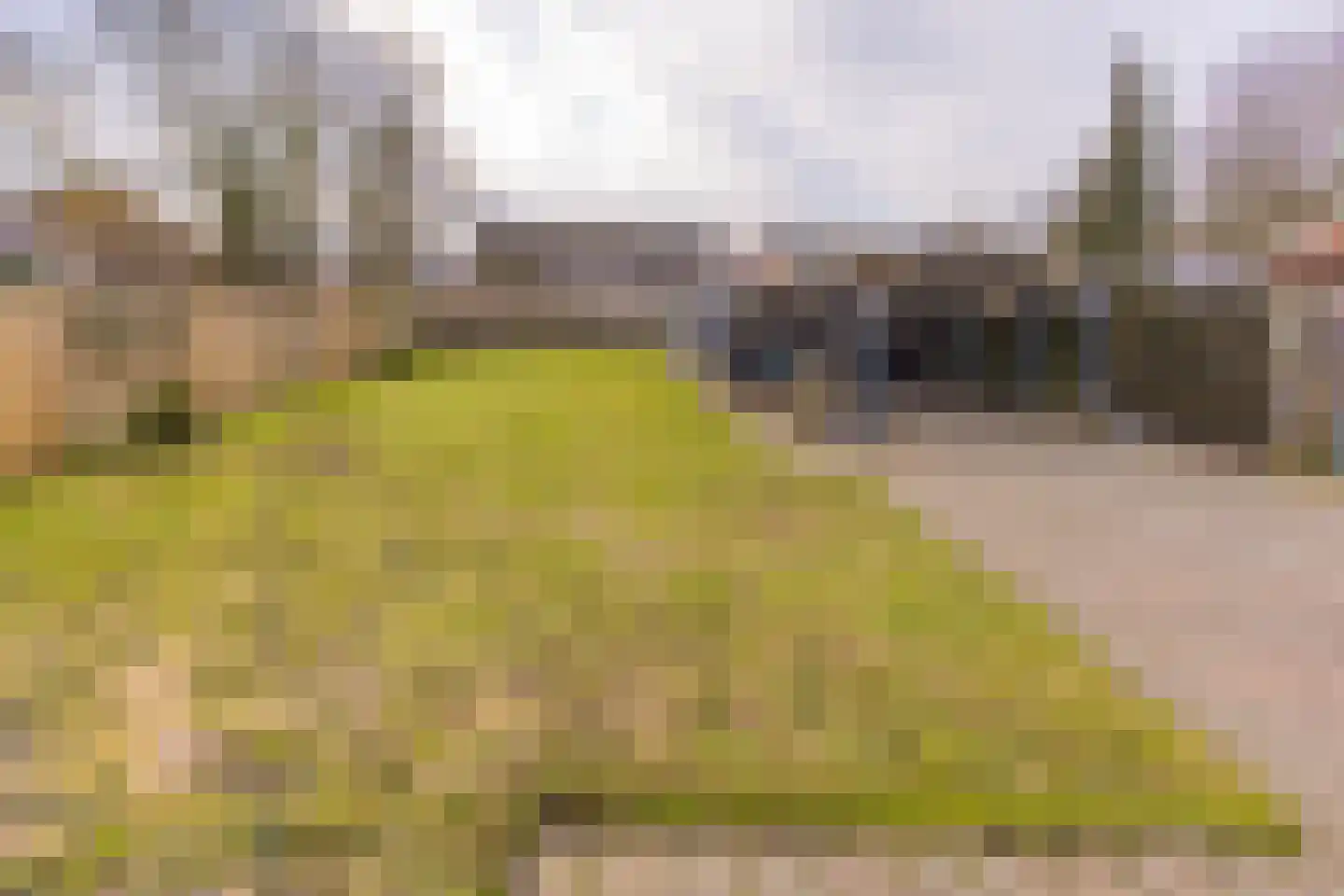 Hassebergerweg 36 Sellingen thumbnail 37