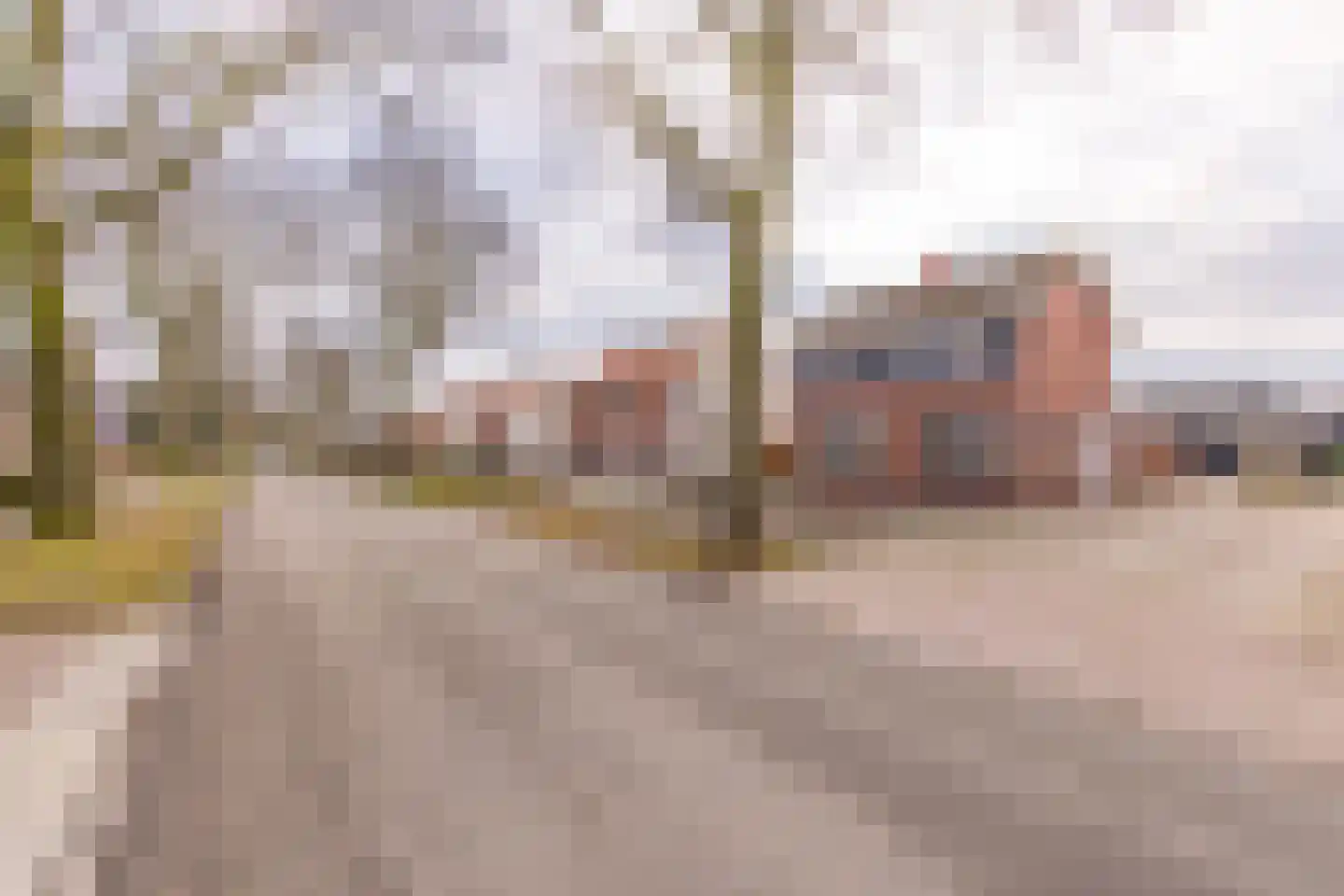 Hassebergerweg 36 Sellingen thumbnail 5