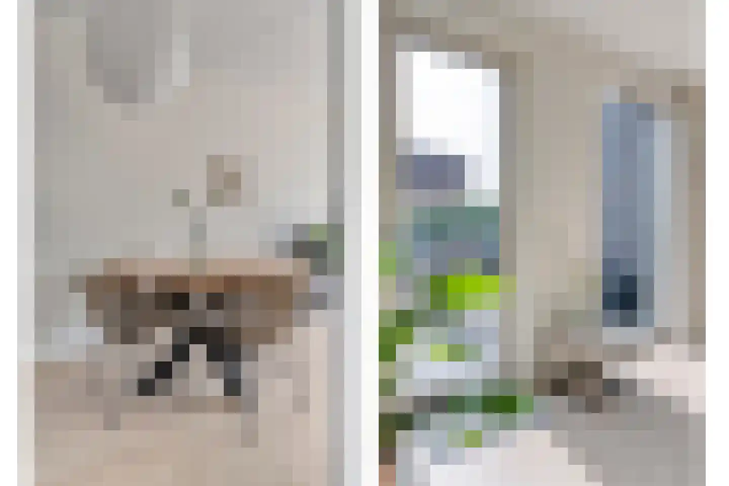 Hassedinkpad 28 Zwolle thumbnail 14
