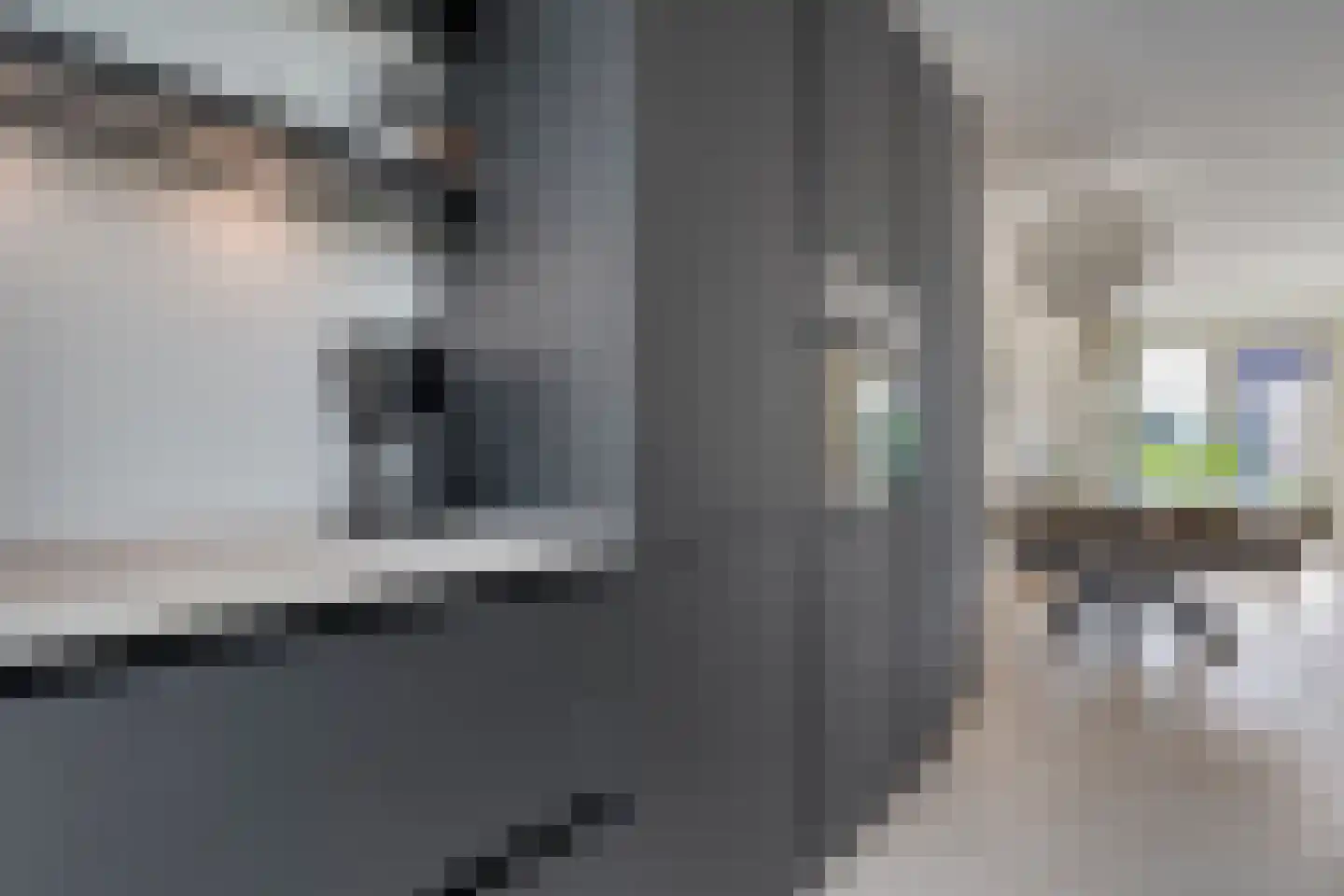 Hassedinkpad 28 Zwolle thumbnail 17