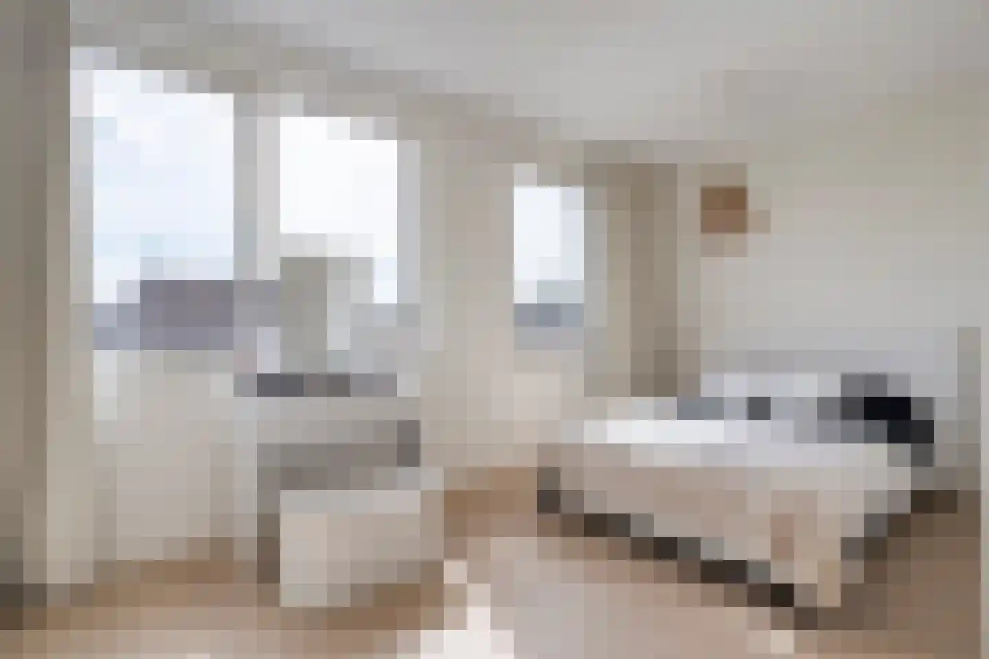 Hassedinkpad 28 Zwolle thumbnail 27