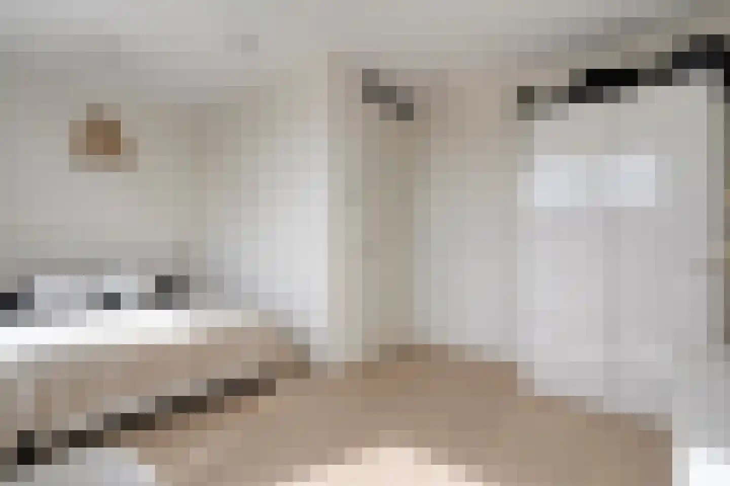 Hassedinkpad 28 Zwolle thumbnail 28