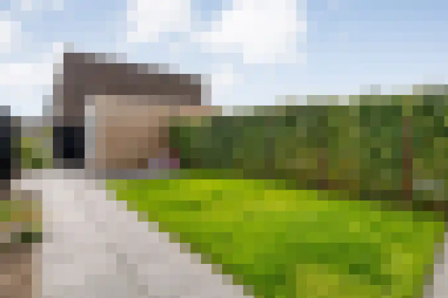 Hassedinkpad 28 Zwolle thumbnail 40