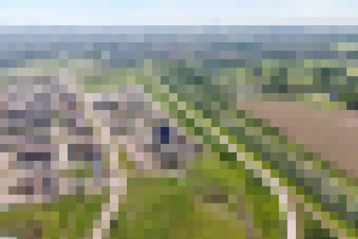 Hassedinkpad 28 Zwolle thumbnail 43
