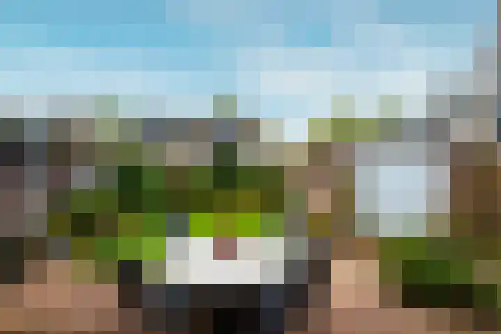 Hasselaarlaan 12 Eemnes thumbnail 33