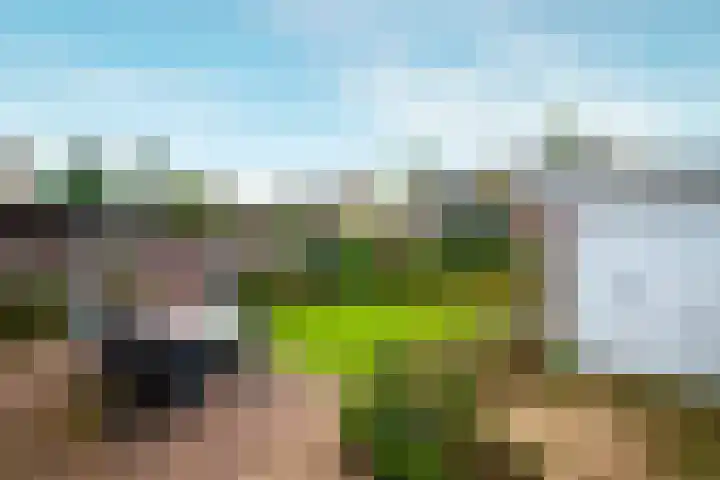 Hasselaarlaan 12 Eemnes thumbnail 34