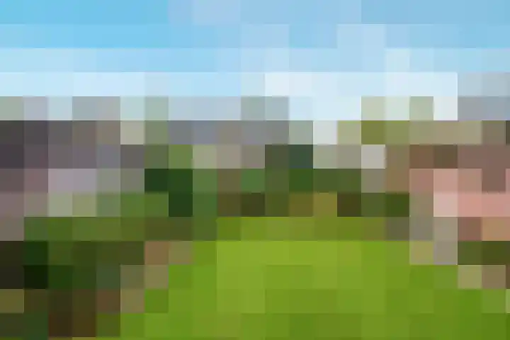 Hasselaarlaan 12 Eemnes thumbnail 35
