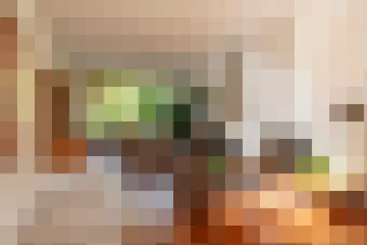 Hasselaarlaan 62 Eemnes thumbnail 11