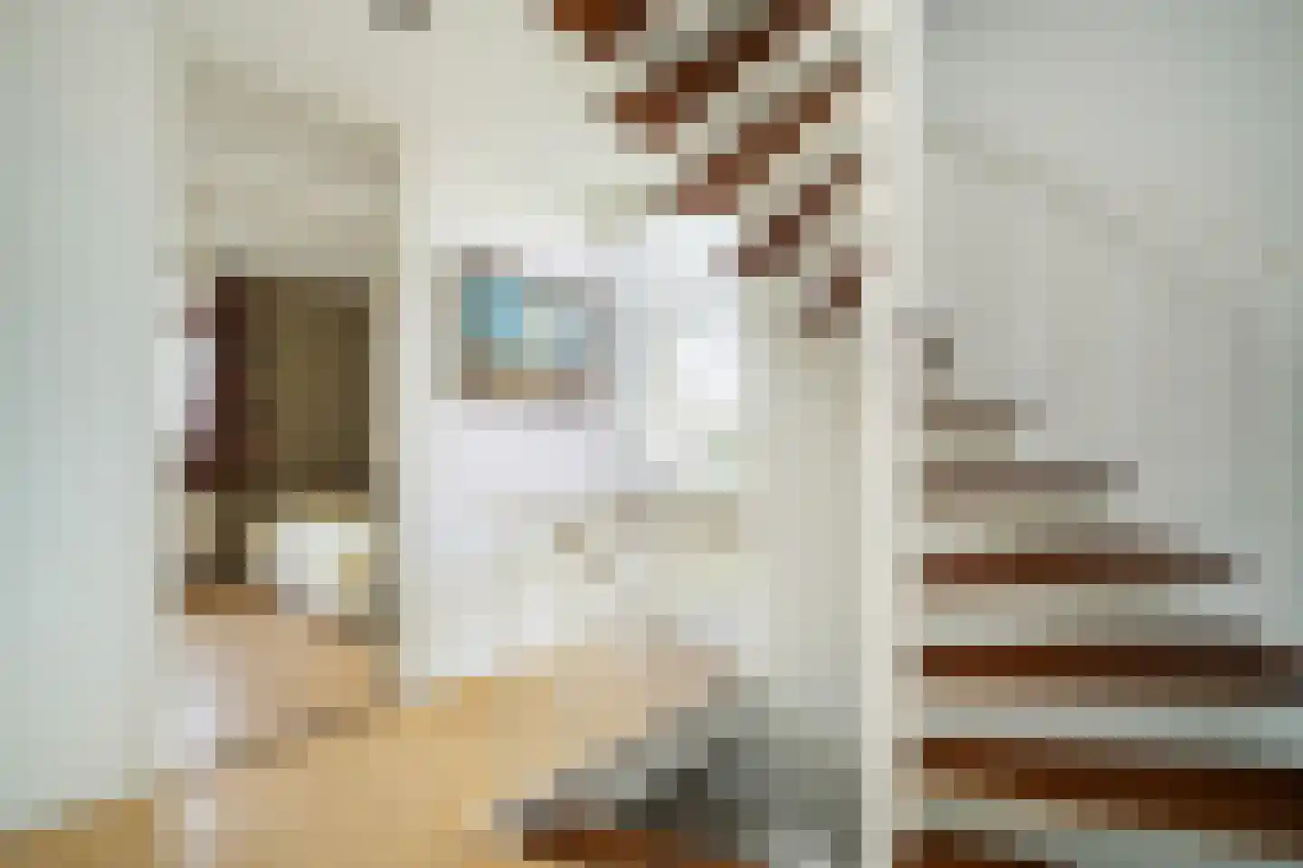 Hasselaarlaan 8 Eemnes thumbnail 33