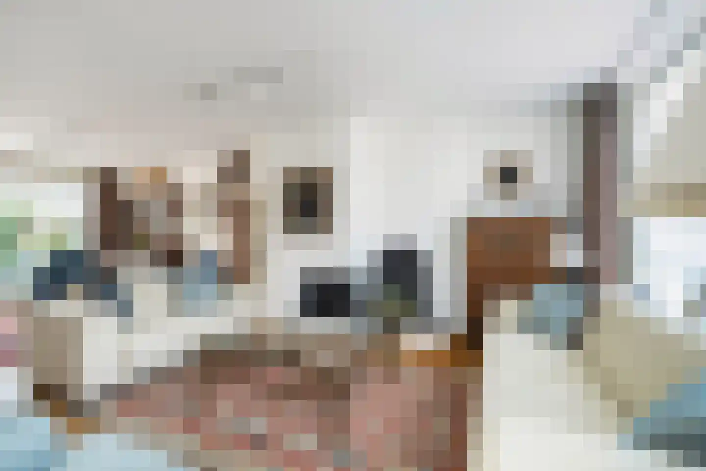 Hasselaarlaan 8 Eemnes thumbnail 6